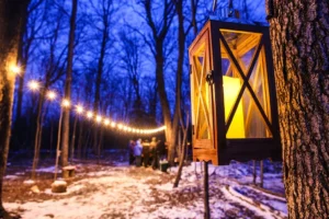 Maple Syrup by Lamplight Kortright | Woodbridge